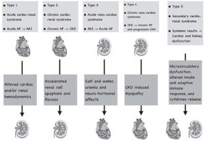 Ronco Classification Cardiorenal syndrome | www.cimjournal.com