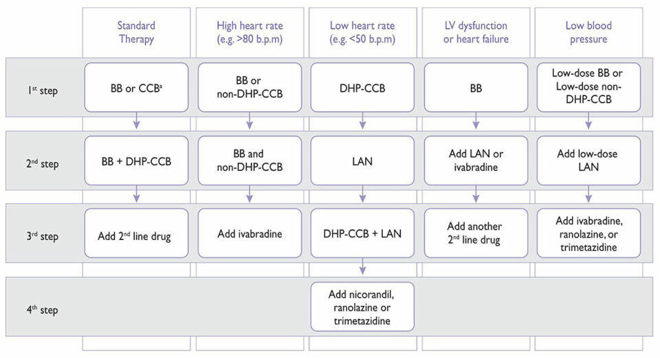 2019 ESC Guidelines of Chronic Coronary Syndrome