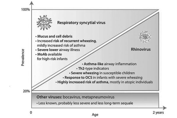 โรคหลอดลมฝอยอักเสบ กับ โรคหืด (Bronchiolitis vs Asthma)