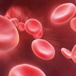 banner blood cell