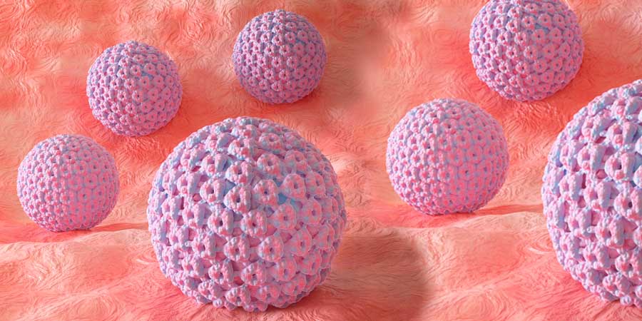 banner ไวรัส hpv