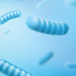 banner แบคทีเรีย 1