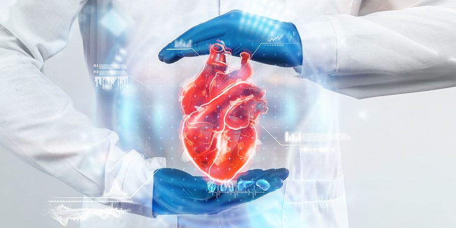 banner cardiovascular