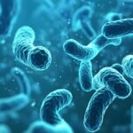 banner bacteria