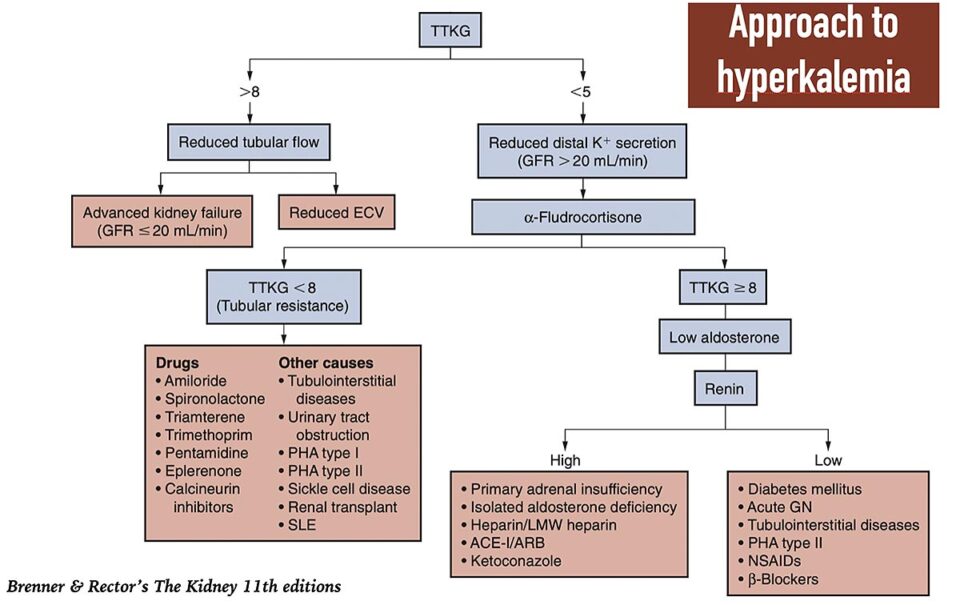 Practical and Pathophysiologic Approach to Hyperkalemia