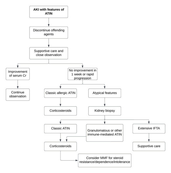 Update on Acute Tubulointerstitial Nephritis (ATIN)